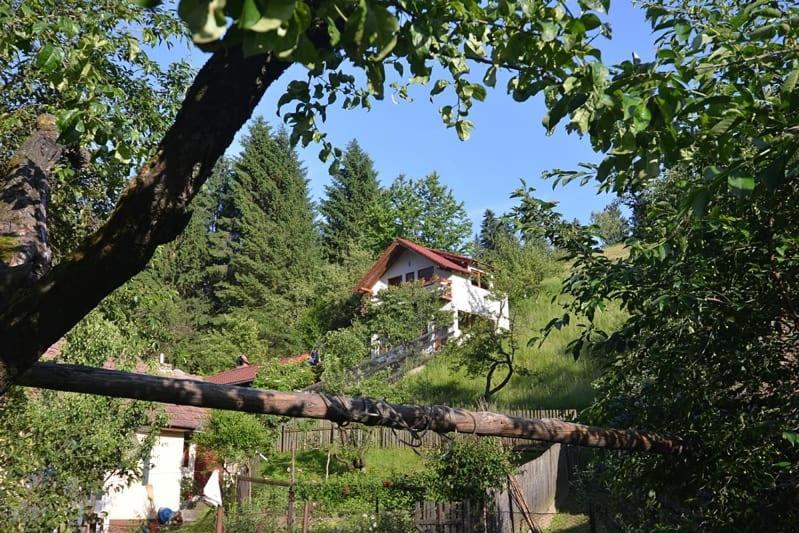 Cabana Vanatorilor Poiana Mărului 外观 照片