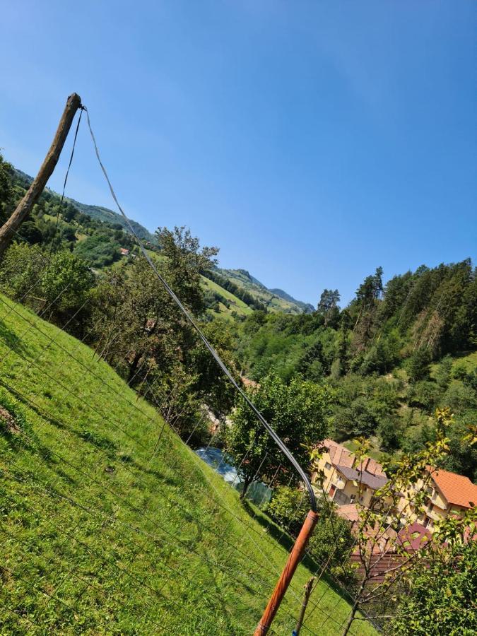 Cabana Vanatorilor Poiana Mărului 外观 照片