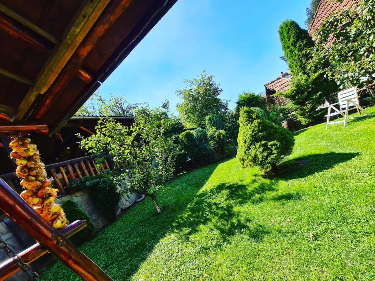 Cabana Vanatorilor Poiana Mărului 外观 照片