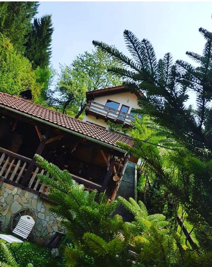 Cabana Vanatorilor Poiana Mărului 外观 照片